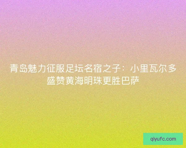 青岛魅力征服足坛名宿之子：小里瓦尔多盛赞黄海明珠更胜巴萨