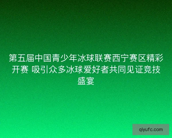 第五届中国青少年冰球联赛西宁赛区精彩开赛 吸引众多冰球爱好者共同见证竞技盛宴